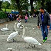 Rajesh R
