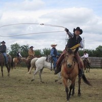 Greg Vaadeland