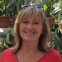 Doreen Hollywood