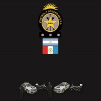 Control Y Seguridad srl