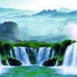 吴松柏