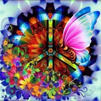 Lorri Tolmasoff