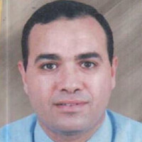Waleed Kamel
