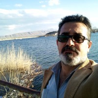 رضا امیرپور