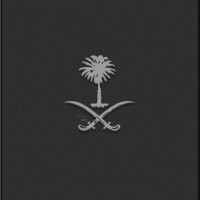 Afnan Alharbi