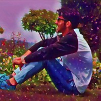Dar Asif