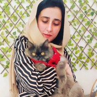 Amina Shafqat