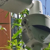 王克成