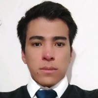 Erwin Ramón Ibarra