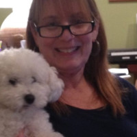 Caren Leifer