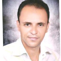 Gasser Kamal