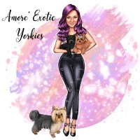 Angel Messick