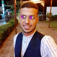 Alaa Nehdi