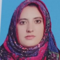 samia Bibi