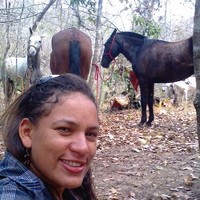 silvia carneiro p. de araujo
