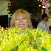 Joy Dequine