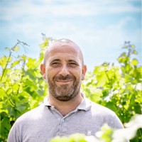 Ludovic Maury