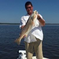 Mark Guilfoyle