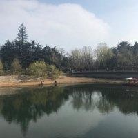 赵政伟