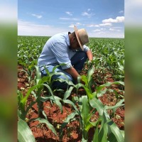 Ewerton Inácio Gonçalves