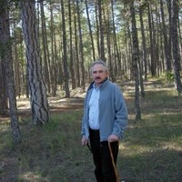 Enrique Louis Cereceda