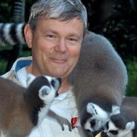 Dave Werren