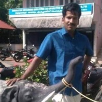 Naveen Krishna P
