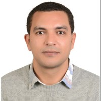 Waleed Raouf