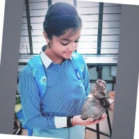 Pranjali Ghode