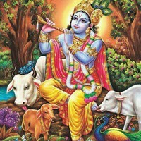 Rakesh Gowda