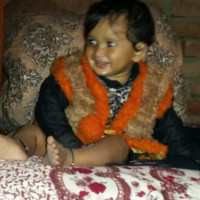 Raj Kumar