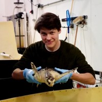 Jonah Florholmen-Bouman