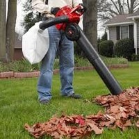 Leaf Vacuum Mulcher