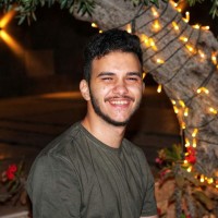 Kareem H. Elsafy