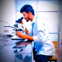 Surya Palanisamy