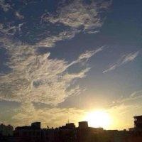 谢嘉威