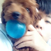 梁金平