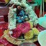 Murugesh M