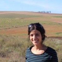 Liav Cohen