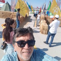 mehmet ggbilgi
