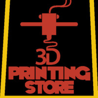 The 3D Printing Store