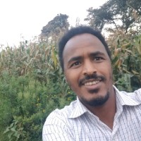 Negasa Dibaba