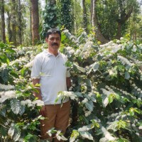 Jayaram Basgod