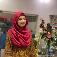 Ayesha Waris