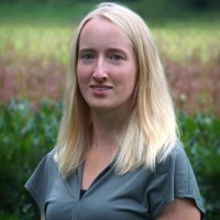 Lieke De Mare