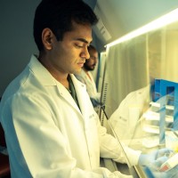 Rahul Raj Singh, Ph.D.