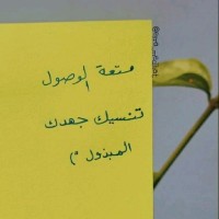Amro Hamed