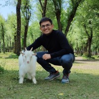 RISHABH SINGLA