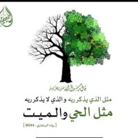 Khaled Shaheen