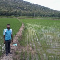 Saravanakumar Pandi